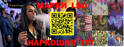 кокс Донской