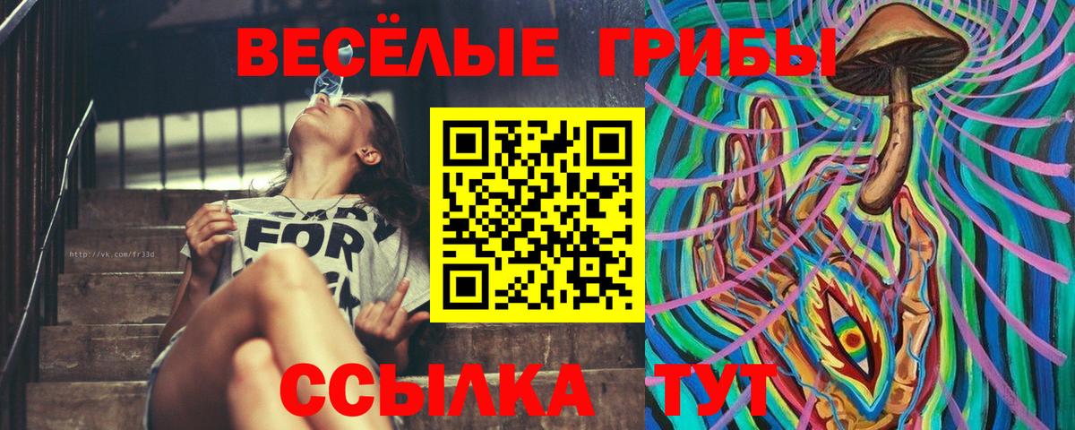 Псилоцибиновые грибы мицелий Междуреченск