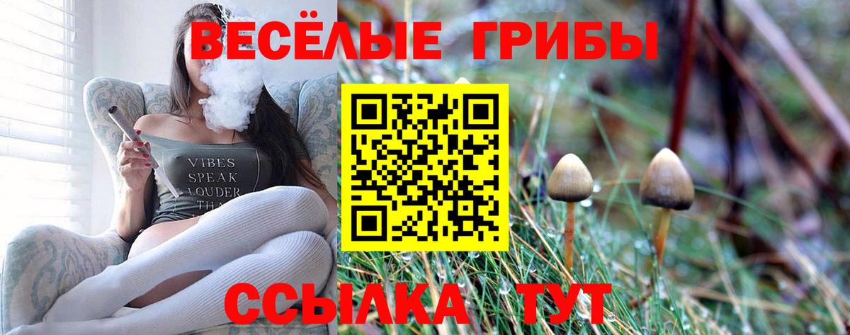 Галлюциногенные грибы Magic Shrooms  Вход с VPN  Междуреченск  Псилоцибиновые грибы Psilocybine cubensis 